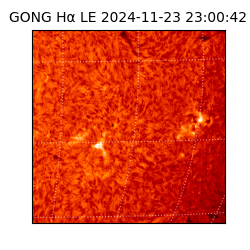 gong - 2024-11-23T23:00:42