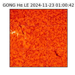 gong - 2024-11-23T01:00:42