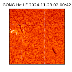 gong - 2024-11-23T02:00:42