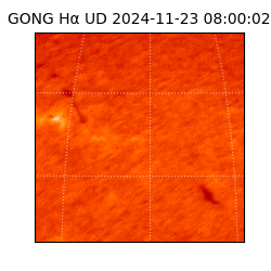 gong - 2024-11-23T08:00:02