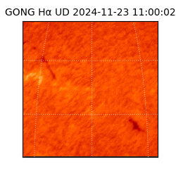 gong - 2024-11-23T11:00:02