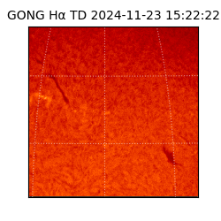 gong - 2024-11-23T15:22:22