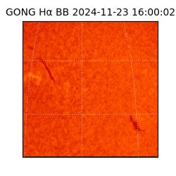gong - 2024-11-23T16:00:02