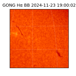 gong - 2024-11-23T19:00:02