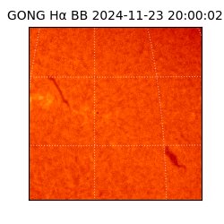 gong - 2024-11-23T20:00:02