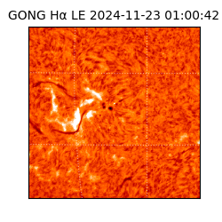 gong - 2024-11-23T01:00:42