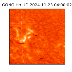 gong - 2024-11-23T04:00:02