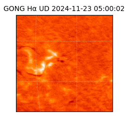 gong - 2024-11-23T05:00:02