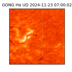 gong - 2024-11-23T07:00:02