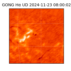 gong - 2024-11-23T08:00:02