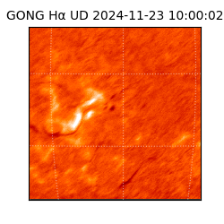 gong - 2024-11-23T10:00:02