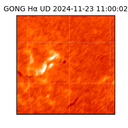 gong - 2024-11-23T11:00:02