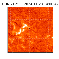 gong - 2024-11-23T14:00:42