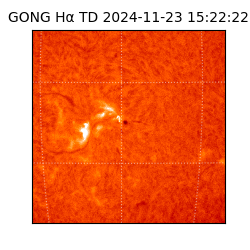 gong - 2024-11-23T15:22:22