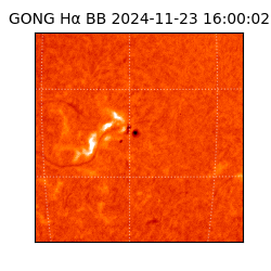 gong - 2024-11-23T16:00:02