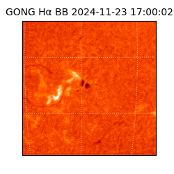 gong - 2024-11-23T17:00:02