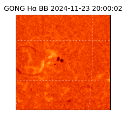 gong - 2024-11-23T20:00:02