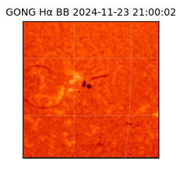 gong - 2024-11-23T21:00:02