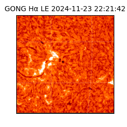 gong - 2024-11-23T22:21:42
