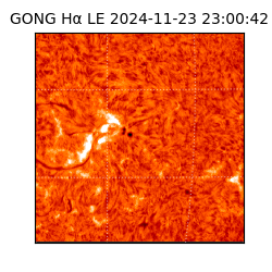 gong - 2024-11-23T23:00:42