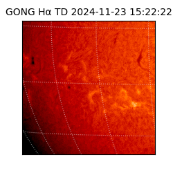 gong - 2024-11-23T15:22:22