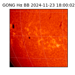 gong - 2024-11-23T18:00:02