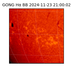 gong - 2024-11-23T21:00:02