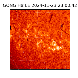 gong - 2024-11-23T23:00:42