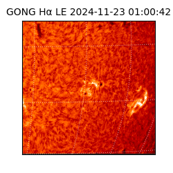 gong - 2024-11-23T01:00:42