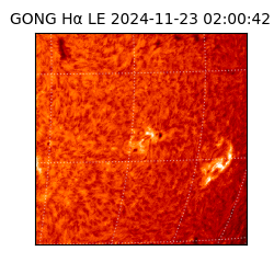 gong - 2024-11-23T02:00:42