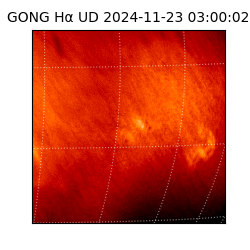 gong - 2024-11-23T03:00:02
