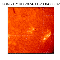 gong - 2024-11-23T04:00:02