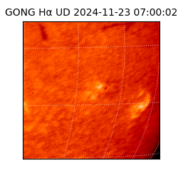 gong - 2024-11-23T07:00:02