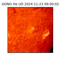 gong - 2024-11-23T09:00:02