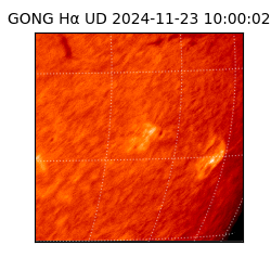 gong - 2024-11-23T10:00:02