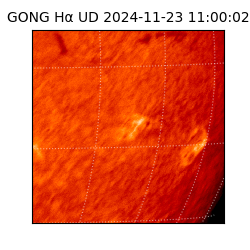 gong - 2024-11-23T11:00:02