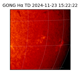 gong - 2024-11-23T15:22:22