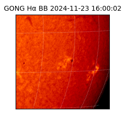 gong - 2024-11-23T16:00:02