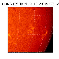 gong - 2024-11-23T19:00:02