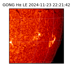 gong - 2024-11-23T22:21:42