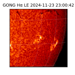 gong - 2024-11-23T23:00:42