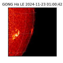 gong - 2024-11-23T01:00:42
