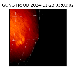gong - 2024-11-23T03:00:02