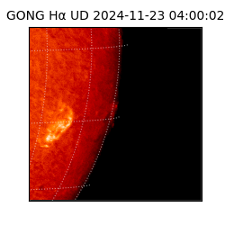 gong - 2024-11-23T04:00:02