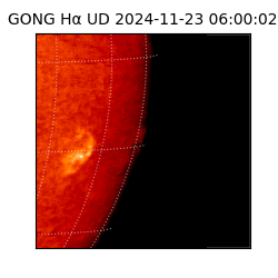 gong - 2024-11-23T06:00:02