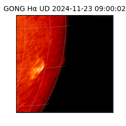 gong - 2024-11-23T09:00:02