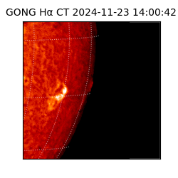 gong - 2024-11-23T14:00:42