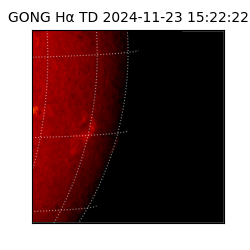 gong - 2024-11-23T15:22:22