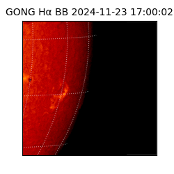 gong - 2024-11-23T17:00:02