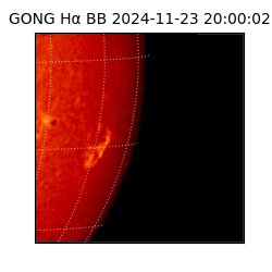 gong - 2024-11-23T20:00:02